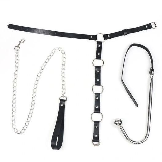 Anal Hooks and 5853 Collar Leash with Anal EverydayUse Kinky Hook 1006